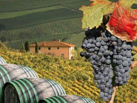 Купить Роскошные путешествия: идеи итальянского винного тура в Санкт-Петербурге